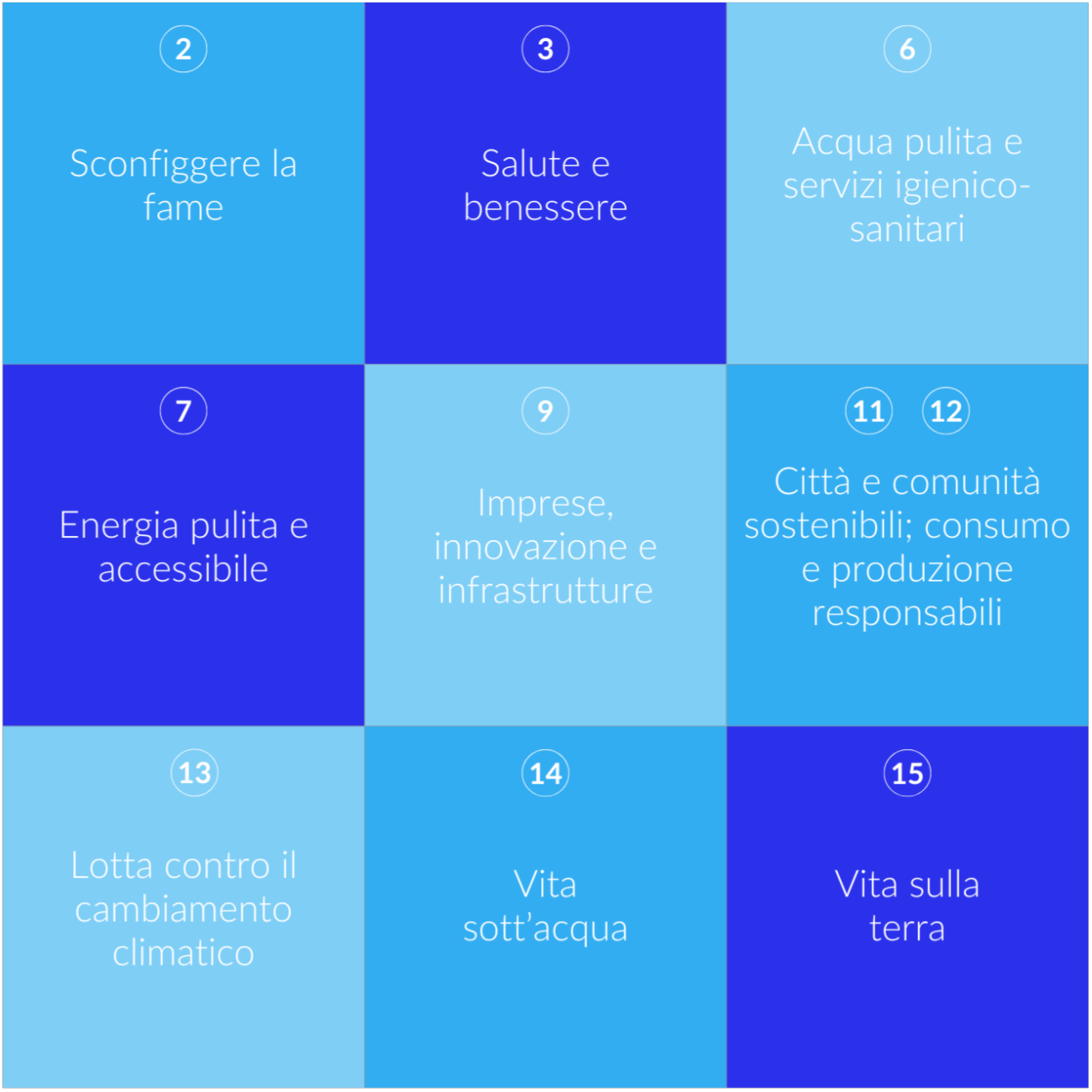 Obiettivi Di Sviluppo Sostenibile agenda 2030 Servizio Idrico Integrato Soluzioni Software