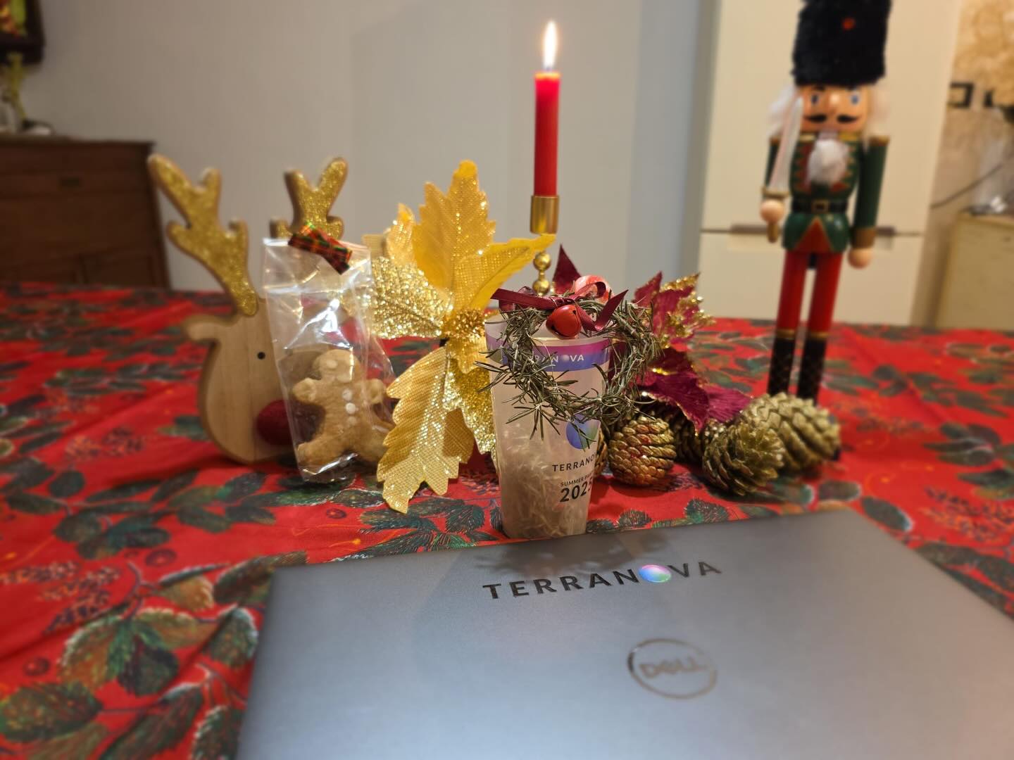 terranova-instagram-feed-140