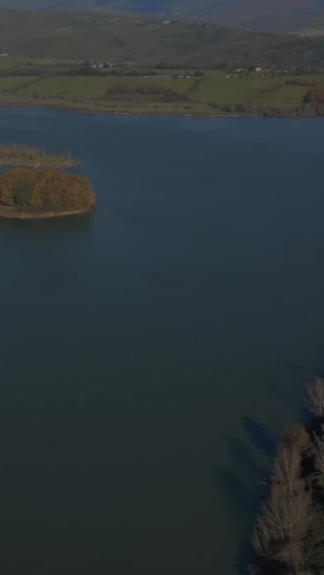 terranova-instagram-feed-157