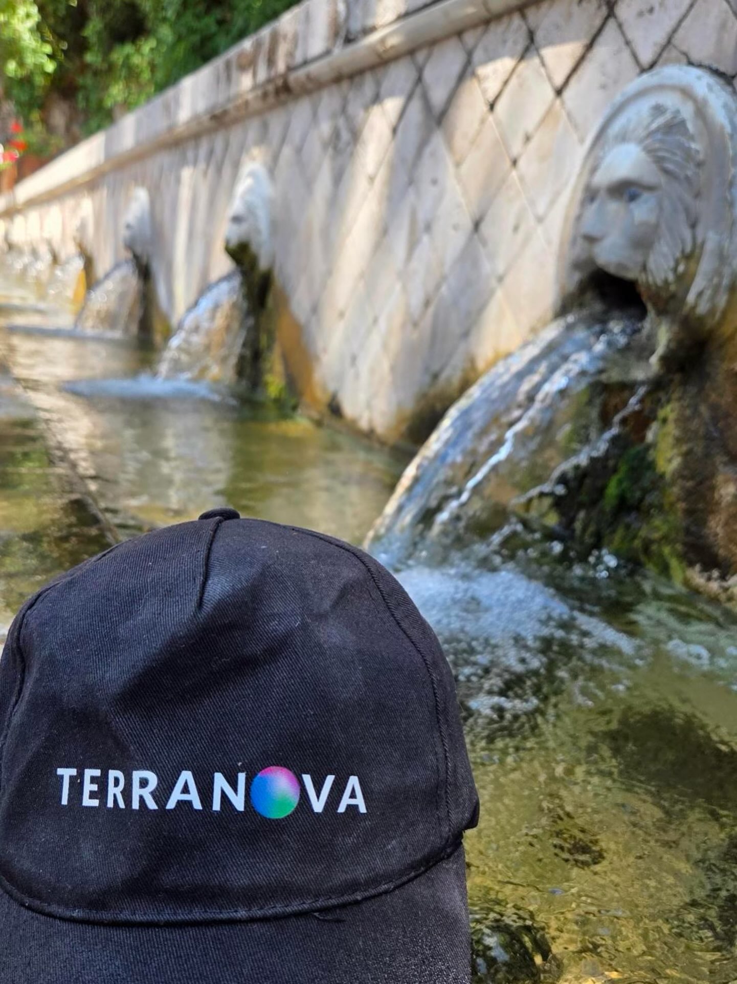 terranova-instagram-feed-211