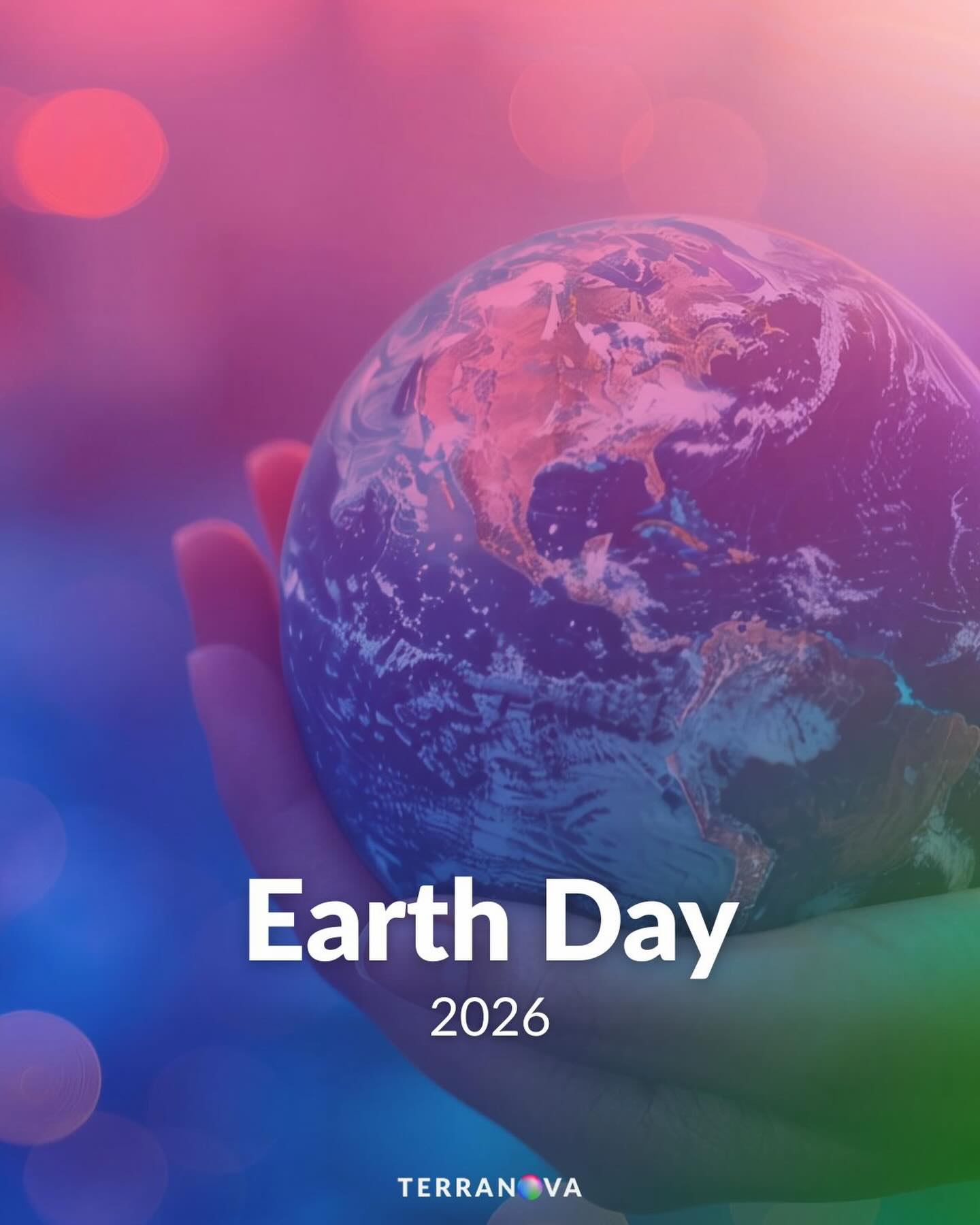 terranova-instagram-feed-163