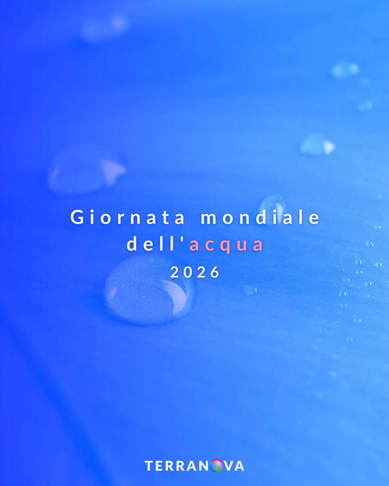 terranova-instagram-feed-153