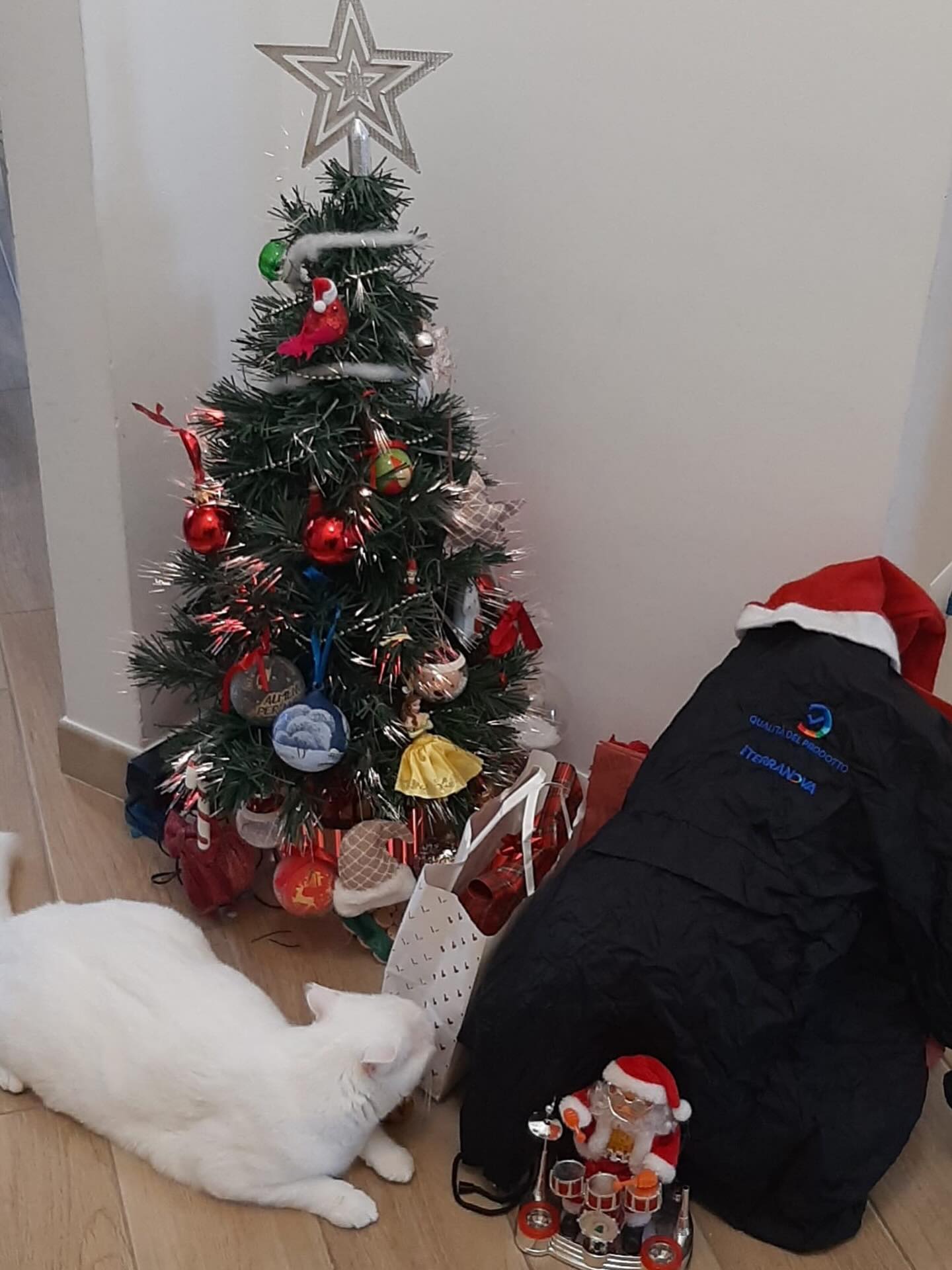 terranova-instagram-feed-139