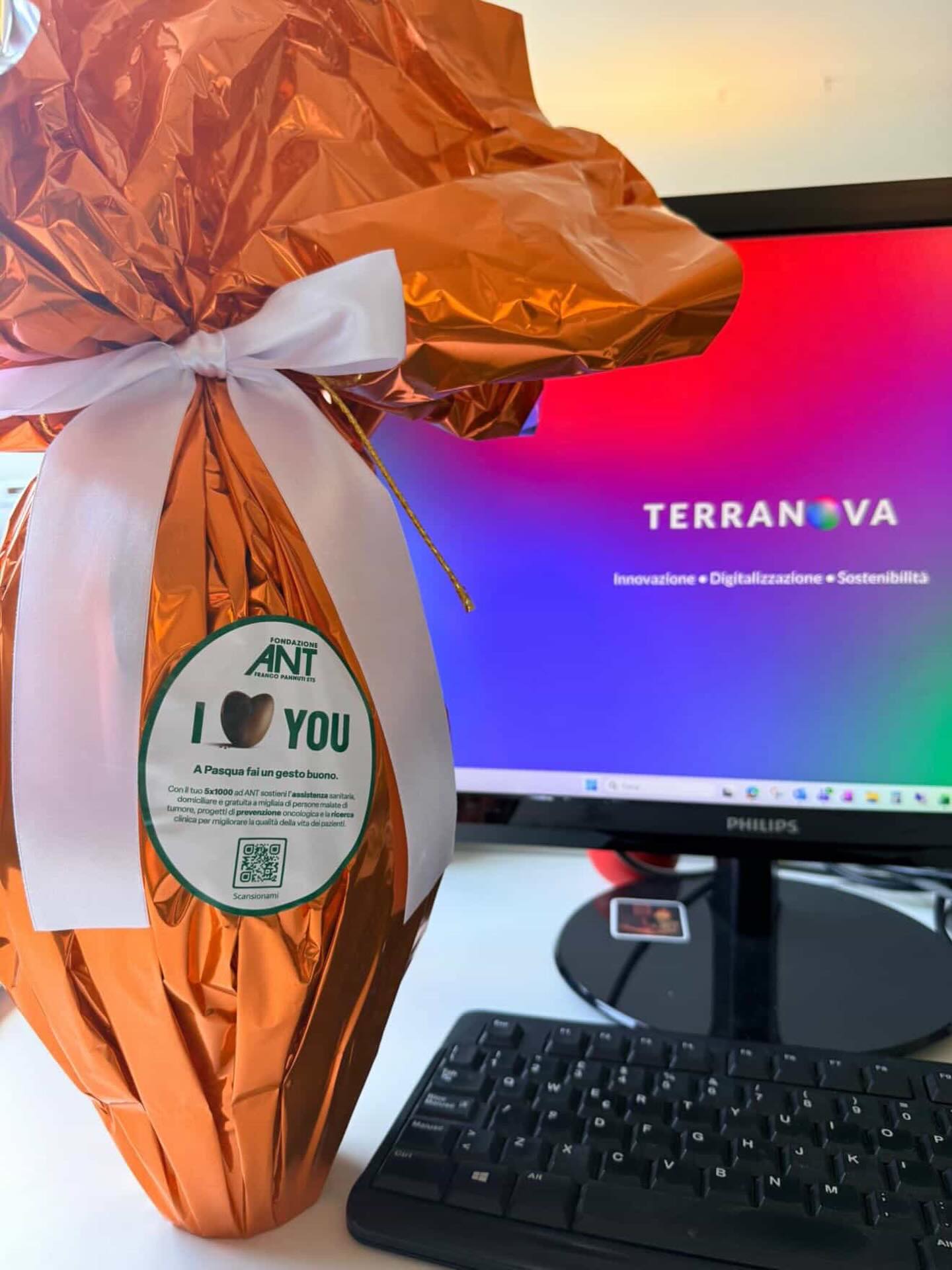 terranova-instagram-feed-158