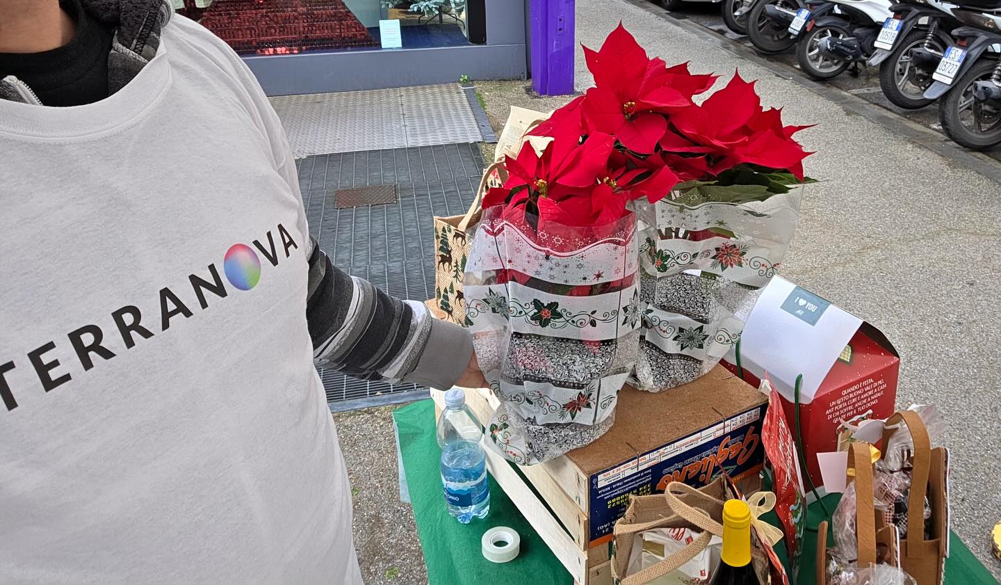 terranova-instagram-feed-133