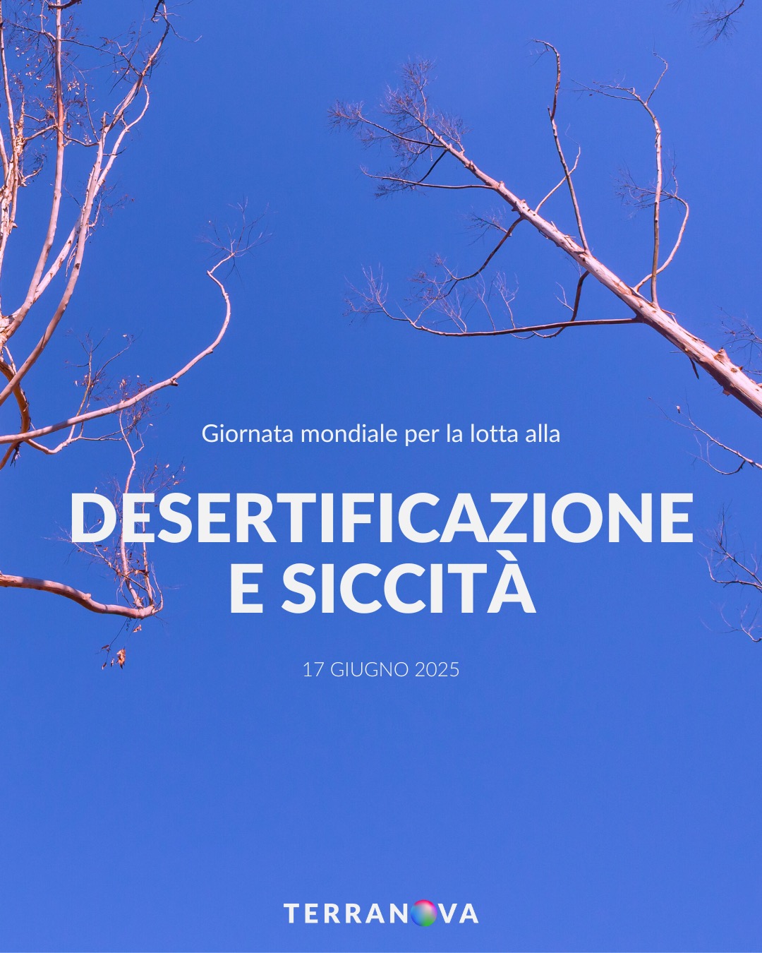 terranova-instagram-feed-55