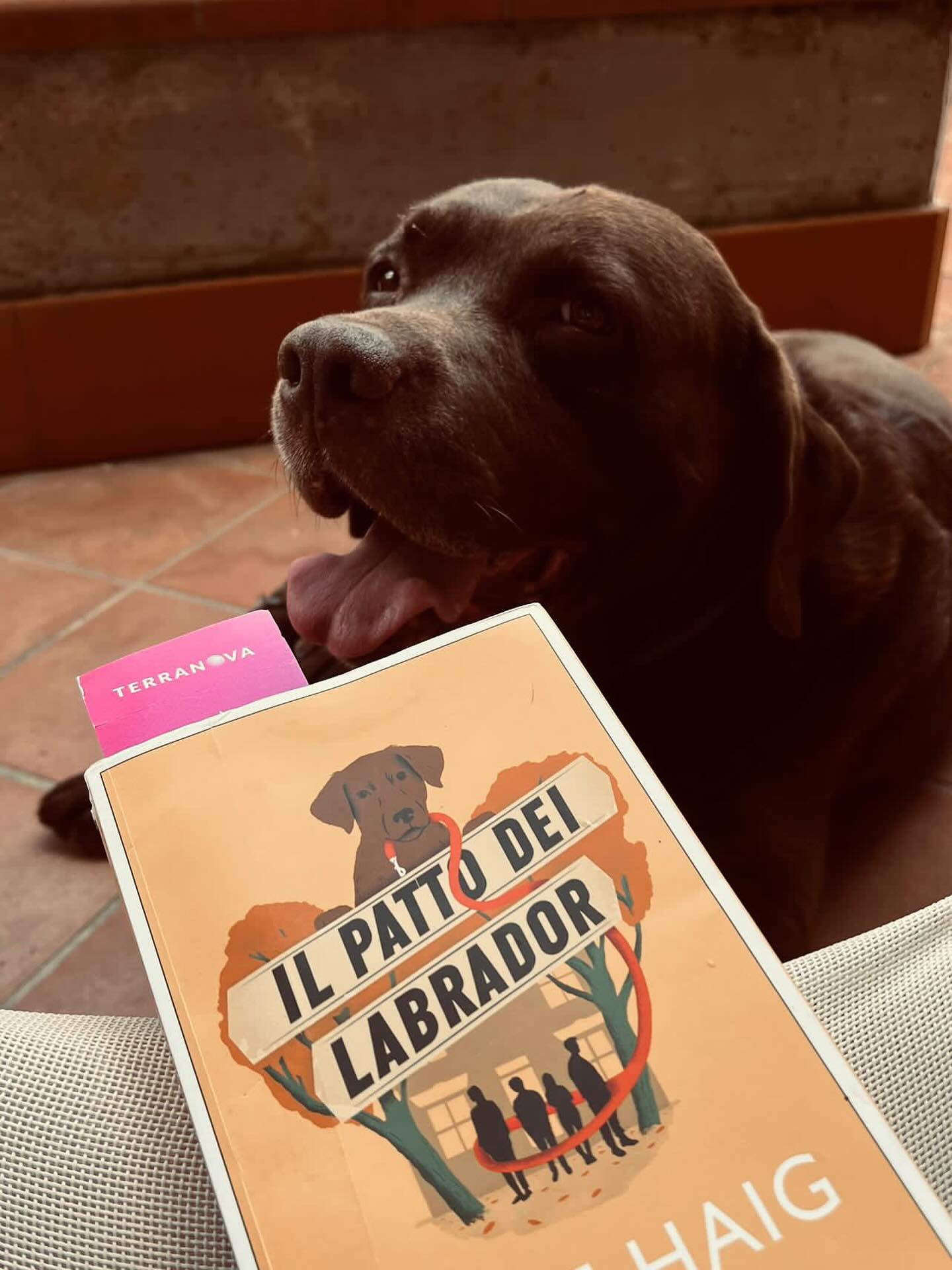 terranova-instagram-feed-87